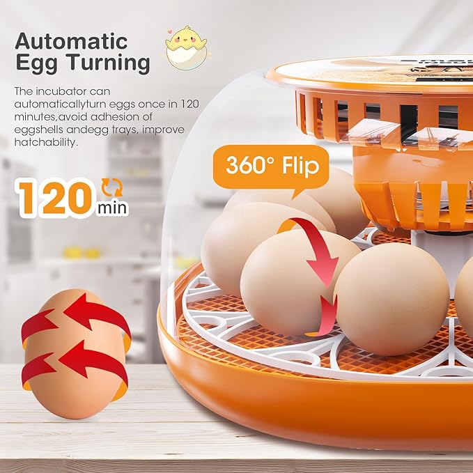 12 Egg Incubator with Automatic Egg Turning and Temperature Control, Automatic Water Adding, LED Egg Candler, Incubators for Hatching Eggs, Chickens, Ducks, Quail, Goose Eggs