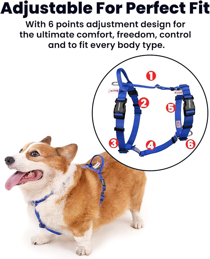 Non Restrictive Dog Harness, Easy Walk Freedom No Pull Harness, Keep Balance, Lightweight, Neck Buckle, 2 Clips for Back and Front Clip, Sewn-in Instructions Labels for Easy Use (Blue, Small)