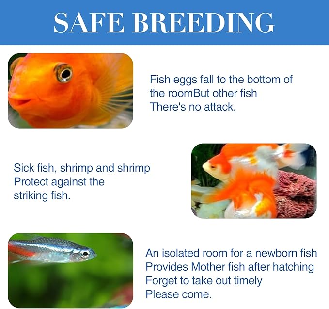 Acrylic Fish Breeding Box for Tank, 5.9×5.9×5.9in Fish Breeder Box for Aquarium with Suction Cups, Aquarium Breeding Box with Coral for Small Baby Fishes Shrimp Clownfish