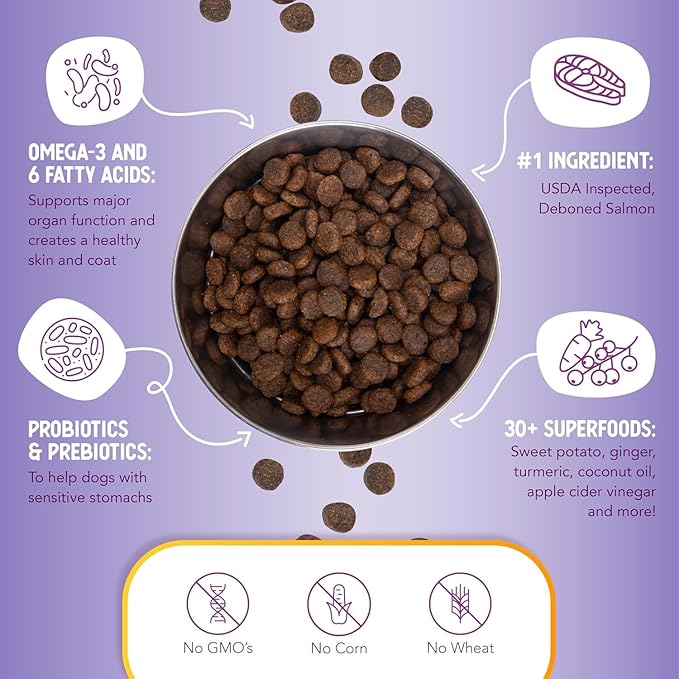 Health Extension Grain Free Salmon & Sweet Potato Dry Dog Food - 30+ Superfoods and Probiotics for All Life Stages (4lb)