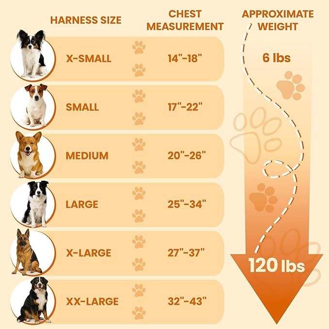 Bark Appeal Light Pink No-Pull Dog Harness for Medium to Large Sized Pets – Adjustable, Reflective Vest with 3 Leash Clips for Added Control, Easy Walks & Training – Large