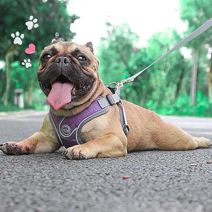 Small Dog Harness and Leash Set,No Pull Adjustable Step in Soft Mesh Vest Harness,Easy Walk Reflective Pet Harness with Padded Handle for Walking Training Small Medium Large Dogs and Cats (Purple, S)