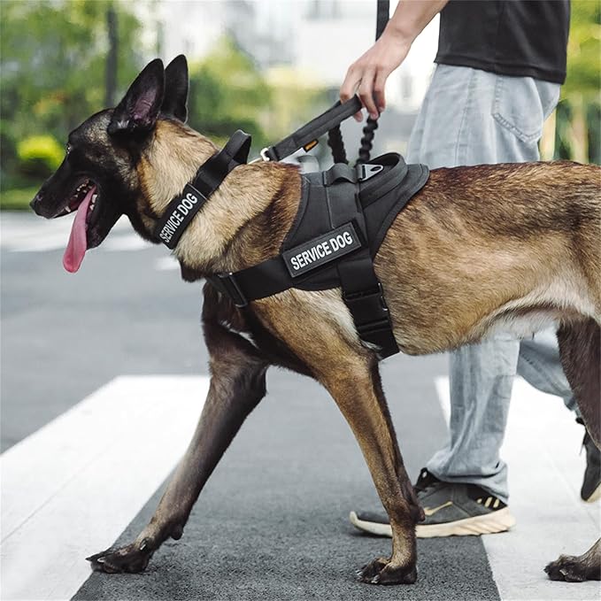 EXCELLENT ELITE SPANKER Tactical Dog Vest Training Military Patrol Service Dog Harness Easy Control Adjustable No-Pull Nylon Pet Harness with Handle for Small Medium Large Dogs(RGN-S)