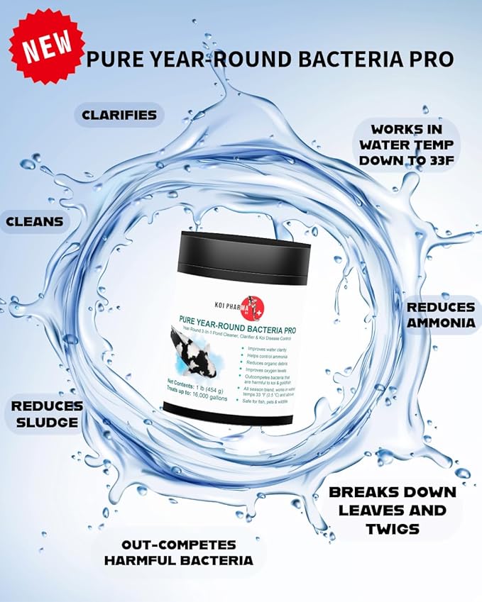 Koi Pharma® Pure Year-Round Bacteria Pro – All-Season Beneficial Pond Bacteria for Clear Water, Sludge Control & Healthy Koi and Goldfish (4 Pound)