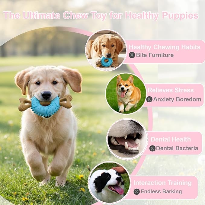 Puppy Chew Toys for Teething, Indestructible Dog Chew Toys for Aggressive Chewers - Small & Medium Breeds, Tough Puppy Toys to Keep Them Busy and Relieve Anxiety, Bone & Tire Shape Rubber Dog Toy