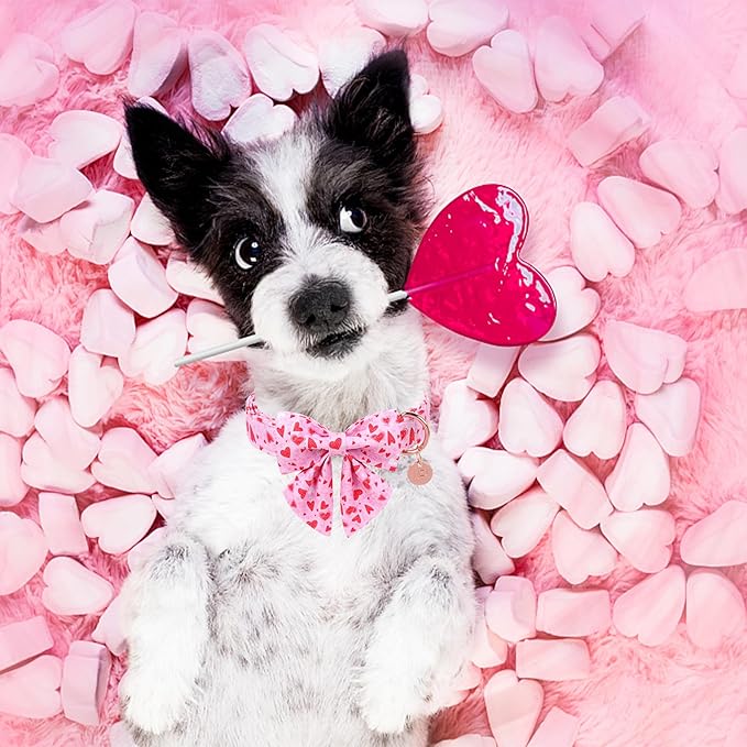 Valentine’s Dog Collar with Bow Tie, Pink Heart Bowtie Collar with Metal Buckle, Valentine’s Gift Pet Collar for Puppy Girl Boy Dog or Cat, Wedding Dog Collar, M