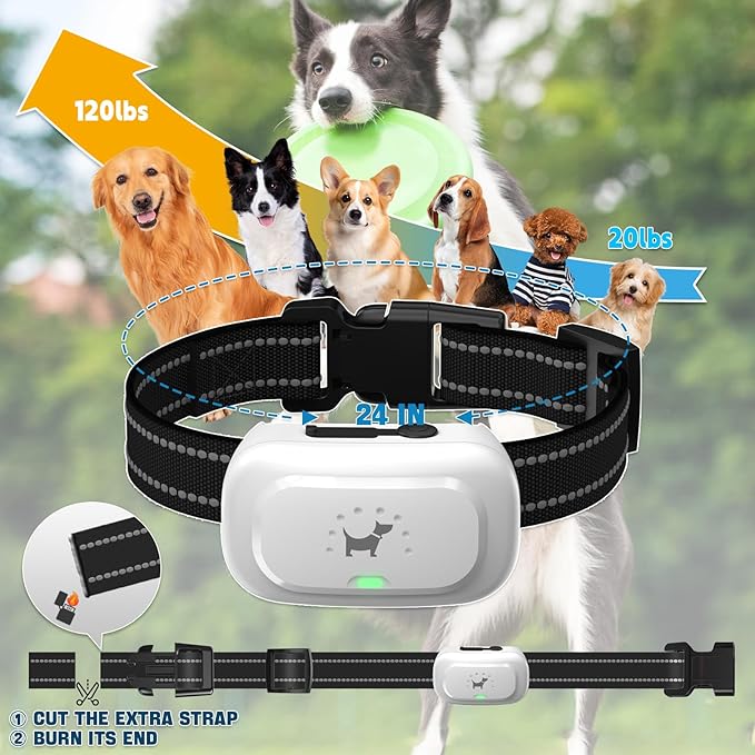 Dog Shock Collar with Remote - [2025 Newly Upgraded] Dog Training Collar for Small Medium Large Dogs, Rechargeable E Collars for Dogs Training, IPX7 Waterproof Electric Collar with Shock-Lock