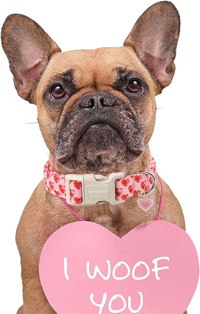 DOGWONG Valentine Dog Collar- Cute Pink Heart Dog Collars Adjustable Durable Designer Valentine’s Day Dog Collar for Small Medium Large Dogs L