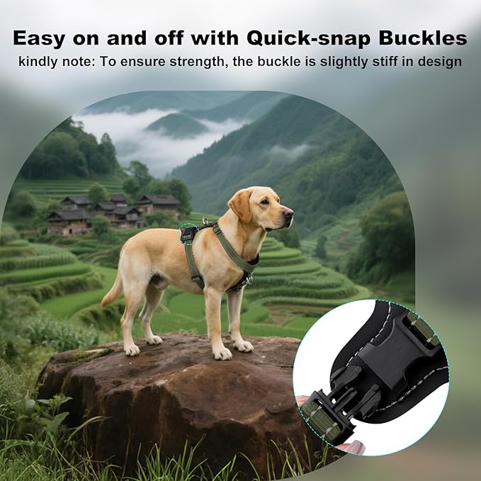 Plutus Pet Adjustable No Pull Dog Harness with Leather Accents, Heavy Duty Reflective Nylon Vest for Training, Hiking, Easy Walk Harness for Small, Medium, Large Dogs (Ranger Green, M)
