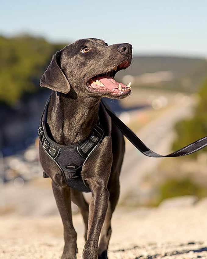 Joytale No Pull Dog Harness for Large Dogs, Reflective Pet Vest with Front Clip, Adjustable Soft Padded Harnesses with Easy Control Handle for Training and Walking, Black, L