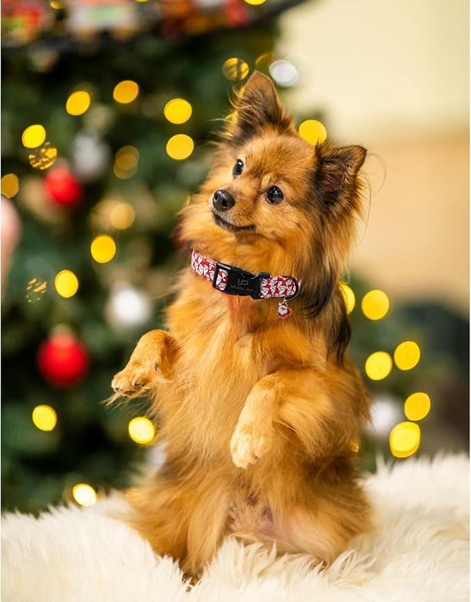 Christmas Santa Pattern Dog Collar - Adjustable and Durable Xmas Pet Accessory for Festive - Cute Santa Claus Dog Collars for Girl Boy Dogs XL