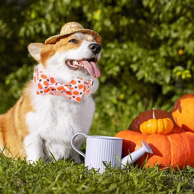 Unique Style Paws Halloween Day Dog Collar with Bow Pink Pumpkin Cotton Dog Collars for Small Medium Large Dogs