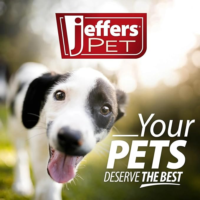 Jeffers Pet Animal Cuddlers Plush Dog Toy with Squeaker, 8" – Soft, Interactive Puppy Toy for Small & Medium Breeds, Indoor or Outdoor Play, Fetch, Snuggle, Great Gift for Christmas - Gray Husky
