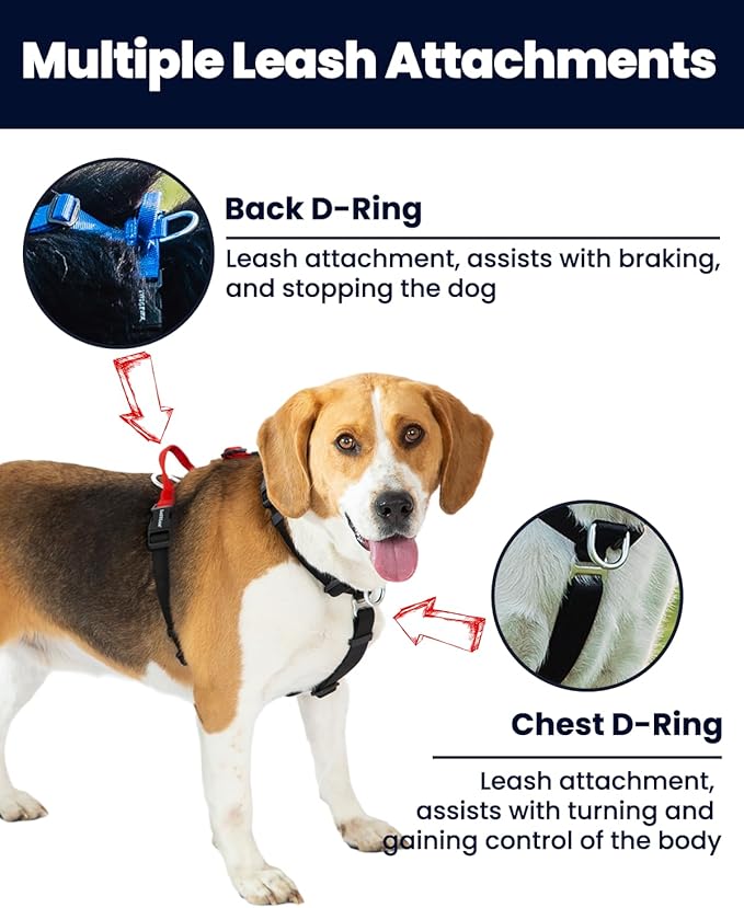 Non-Restrictive Dog Harness, Easy Walk Freedom No Pull Harness, Keep Balance, Neck-Buckle, Six Points Adjustment, 2 Leash Clips for Back and Front Clip (Blue/Black, X-Large)