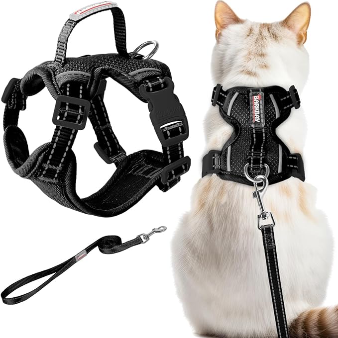 Cat Harness and Leash Set Escape Proof for Kitten Walking, Soft Adjustable Top Handle Vest Harnesses for Cats, Easy Control Breathable Reflective Small Medium Large, Black, XXS