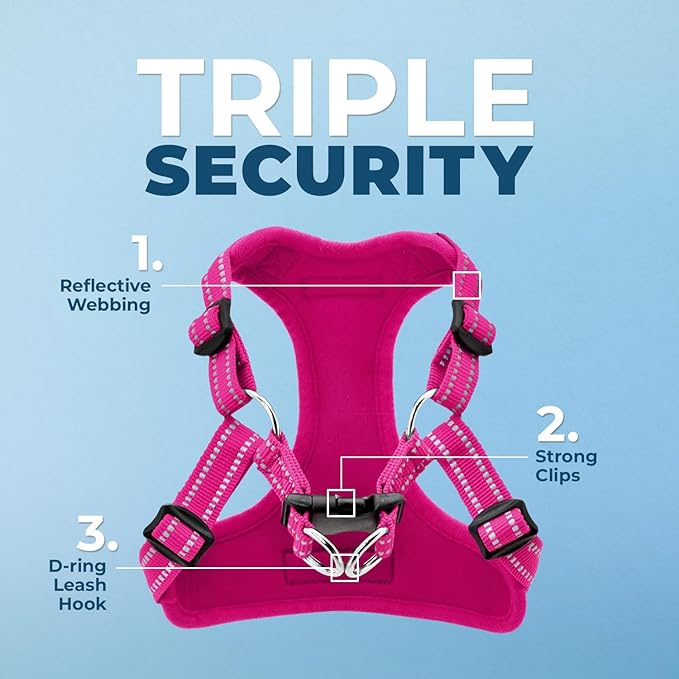 Best Pet Supplies Voyager Mesh Dog Breathable Harness Reflective Stitching, All Weather Adjustable for Walking Training, or Running - Heavy Duty & Durable, Harness Leash Set (Fuchsia), S