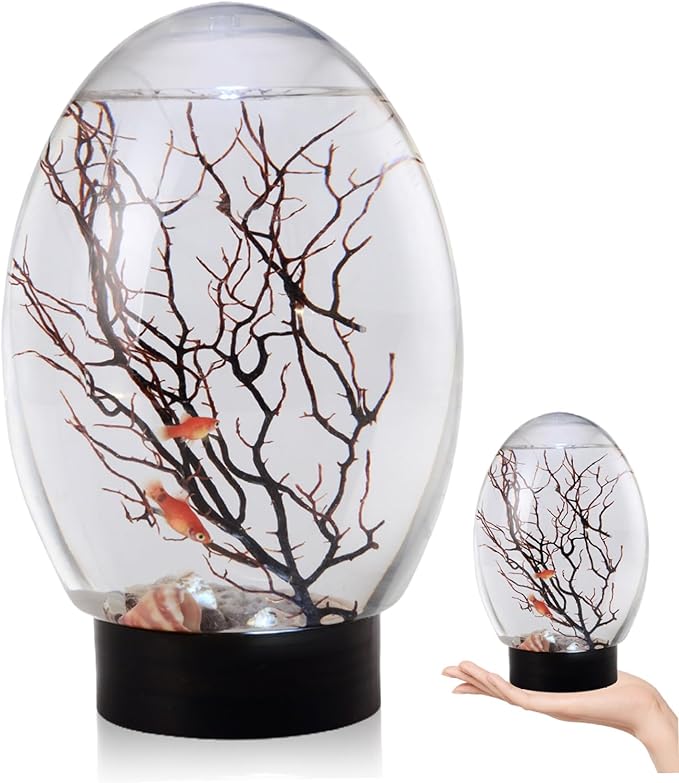Mini Fish Tank, Small Desktop Aquarium with LED Light, Self Sustaining Ecosystem, No Need to Feed or Change Water Closed Aquatic Ecosystem for Home Office Ecosphere Shrimp Ecosphere