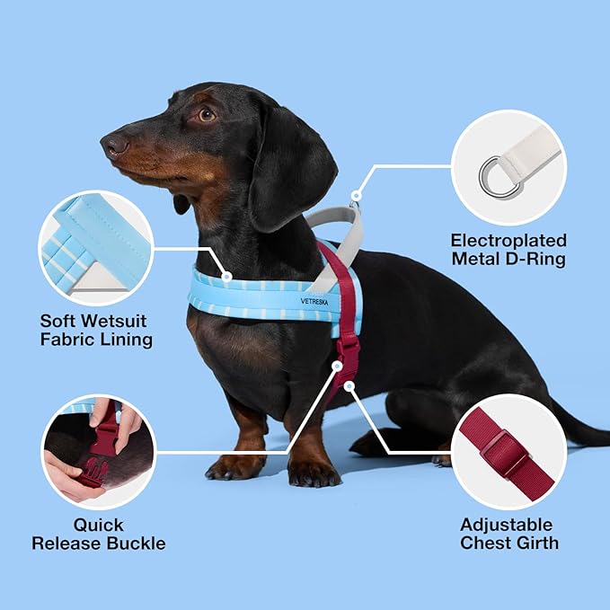 VETRESKA Dog Harness Small Sized Dog, Adjustable No Choke Puppy Harness No Pull, Easy Control Pet Harness Vest for Dogs, Cat, Kitten, Dog Harness with Anti-Tangle Dog Leash Set, Misty Melo XS