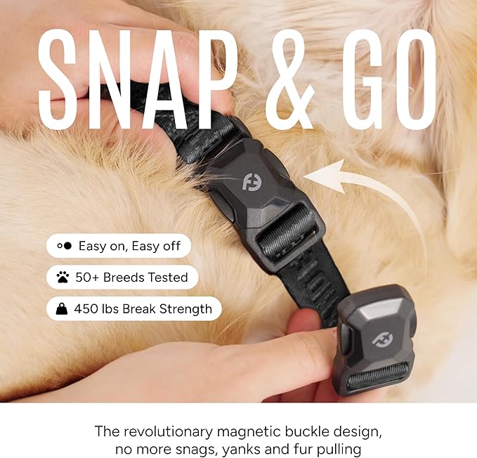 2025 New Edition, Fei & Eve MagEase Dog Collar - Patented Magnetic Buckles | Fur-Safe | Premium 210D Nylon | 450LB Escape-Proof | Adjustable Fit | Small (Black)