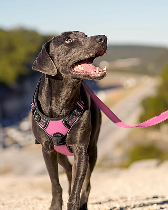 Joytale No Pull Dog Harness for Large Dogs, Reflective Pet Vest with Front Clip, Adjustable Soft Padded Harnesses with Easy Control Handle for Training and Walking, Pink, L