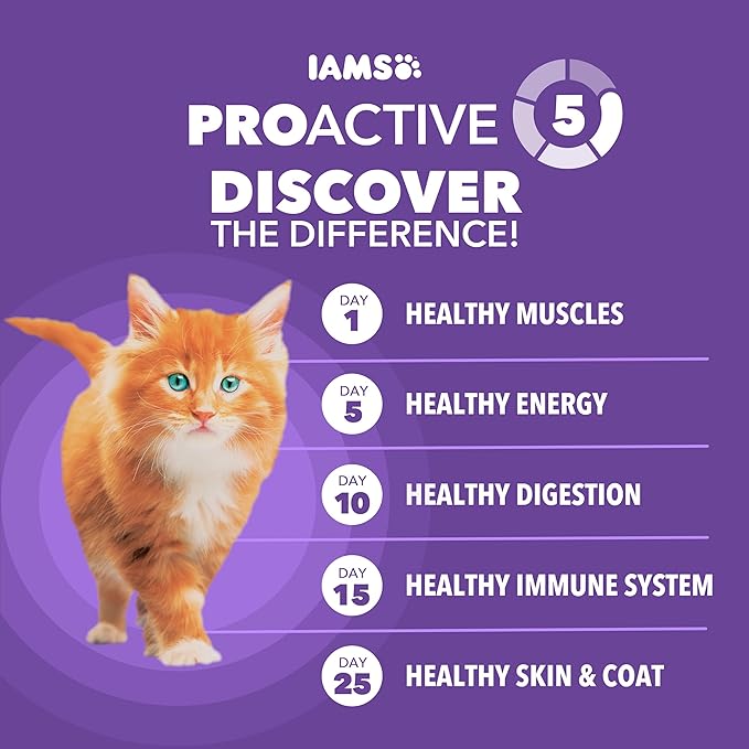 IAMS Proactive Health Healthy Kitten Dry Cat Food with Chicken, 7 lb. Bag