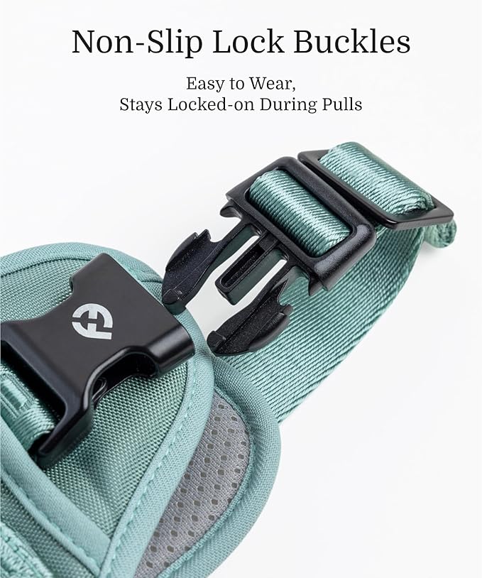 2025 New Edition, Fei & Eve Classic Dog Harness - Quick-Release Buckles | 3-Point No-Pull Control | Heavy-Duty 900D Nylon | Dual Safety Handles | Breathable Mesh | Adjustable Fit | Small,Green