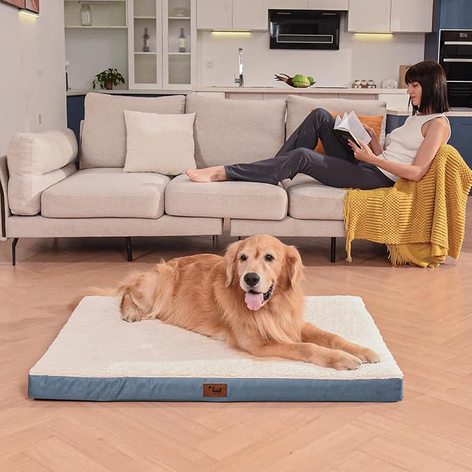 Orthopedic Dog Bed for Extra Large Dogs, XL Comfort Pet Mat for Large Sized Dog 44x32 Inch, Egg Crate Foam with Removable Washable Oxford Cover, Blue White