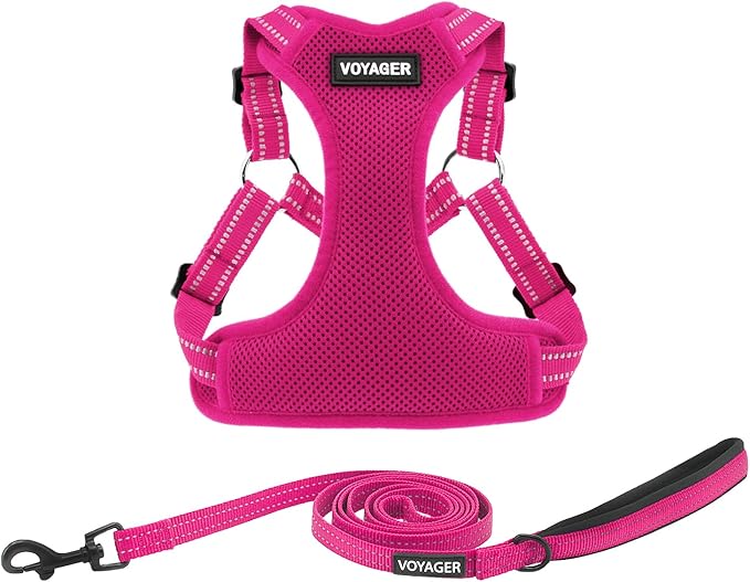 Best Pet Supplies Voyager Mesh Dog Breathable Harness Reflective Stitching, All Weather Adjustable for Walking Training, or Running - Heavy Duty & Durable, Harness Leash Set (Fuchsia), M