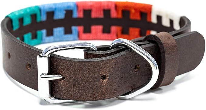 Gaucho Goods Tribal Leather Dog Collar - Zephyr (XL)