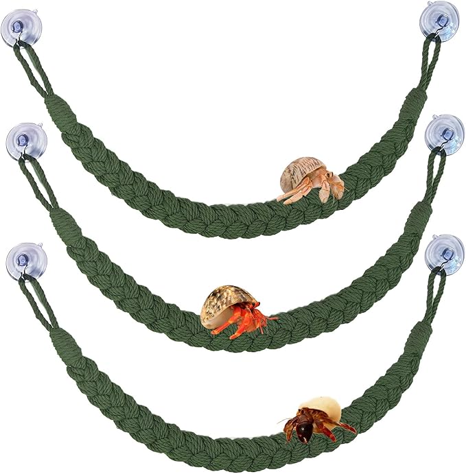kathson 3pcs Hermit Crab Climbing Toys, Hermit Crab Climbing Rope Ladder with 10 Hook Suction Cup Reptile Tank Terrarium Accessories for Lizards Snakes Geckos (Green)