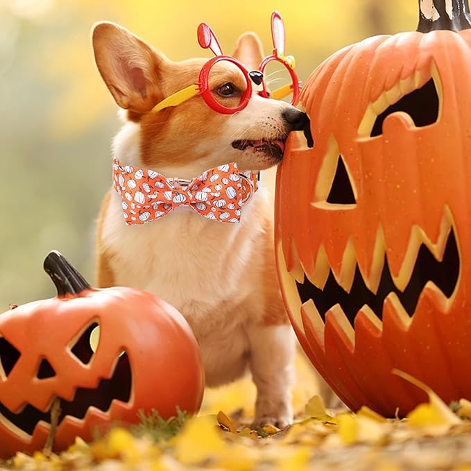 Unique Style Paws Halloween Day Dog Collar with Bow Line Pumpkin Cotton Dog Collars for Small Medium Large Dogs