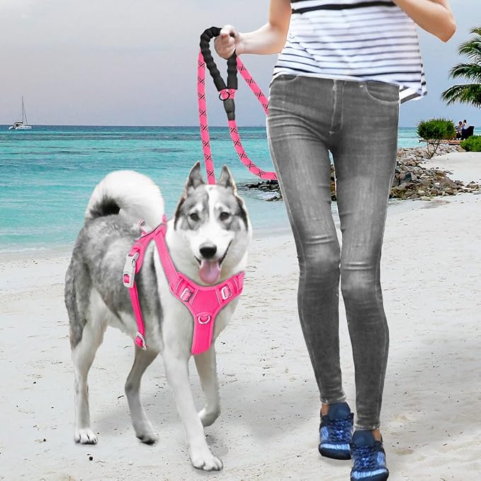 BARKBAY No Pull Dog Harness Large Reflective Dog Harness with Front Clip and Easy Control Handle for Walking Training Running with ID tag Pocket(Pink,L)