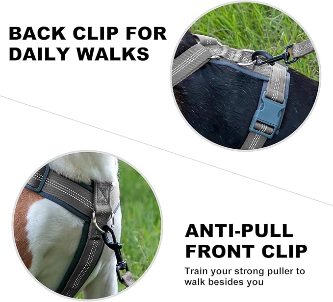 Plutus Pet No Pull Dog Harness, Adjustable Nylon Harness with Soft Padding, Reflective and Heavy Duty Dog Harness for Small, Medium, Large Dogs(Gray, L)