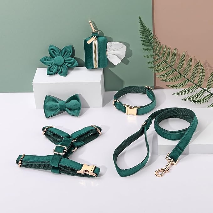 PETDURO Personalized Dog Collars Fancy Velvet with Custom Name Engraved for Large Medium Boy Girl Dog - Multi-Colors - Leash, Bow Tie, Harness and Poop Bag Holder Available - Metal Buckle (XS)