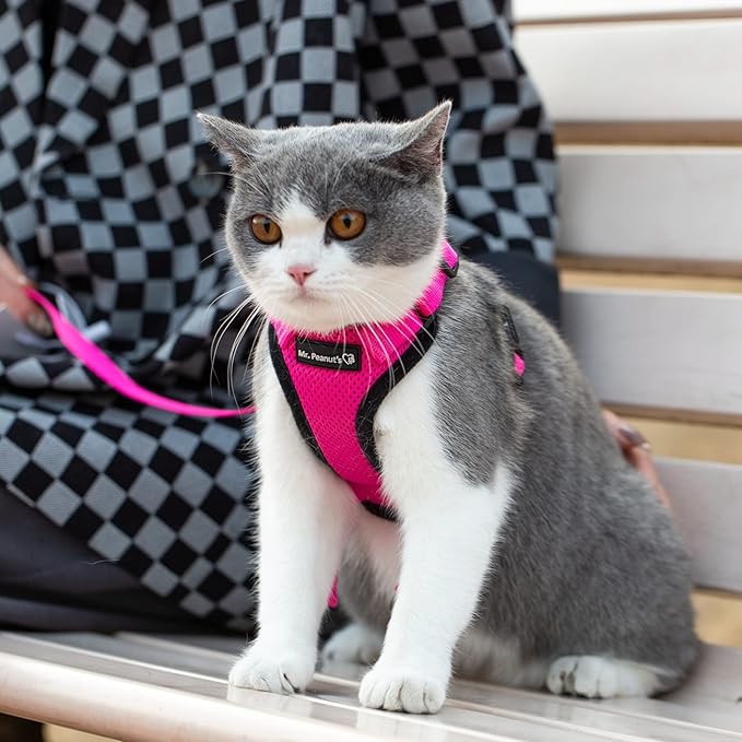 Mr. Peanut's PurrTrek Reflective Cat Harness with Matching Leash (Extra Small, Pink)