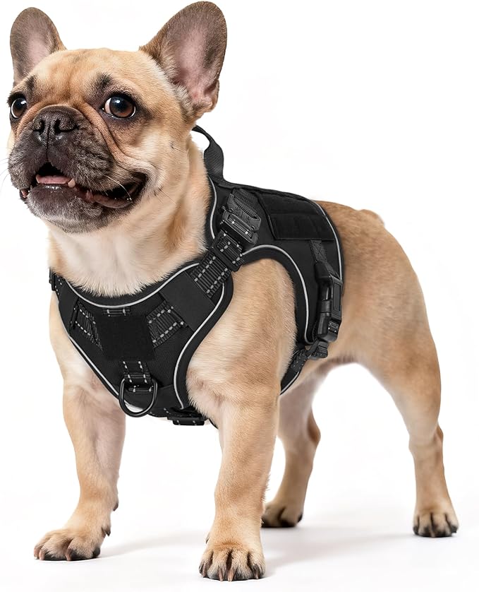 rabbitgoo Tactical Dog Harness Small Sized, No Pull Upgraded Reflective Heavy Duty Molle Vest with Handle, Adjustable Military Service Dog Vest for Walking Hiking Training, Black, S