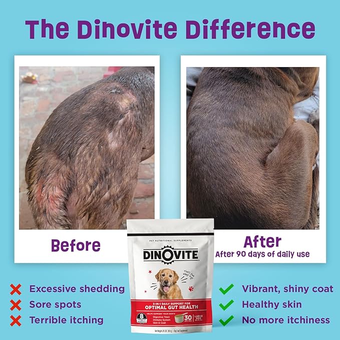 Dinovite 3 in 1 Probiotic for Medium Dogs, Skin & Coat, Digestive Health & Joint Relief, Dog Food Toppers, Immune Support, Allergy Relief & Itch Relief Skin Care, 30 Servings (18-45lb)