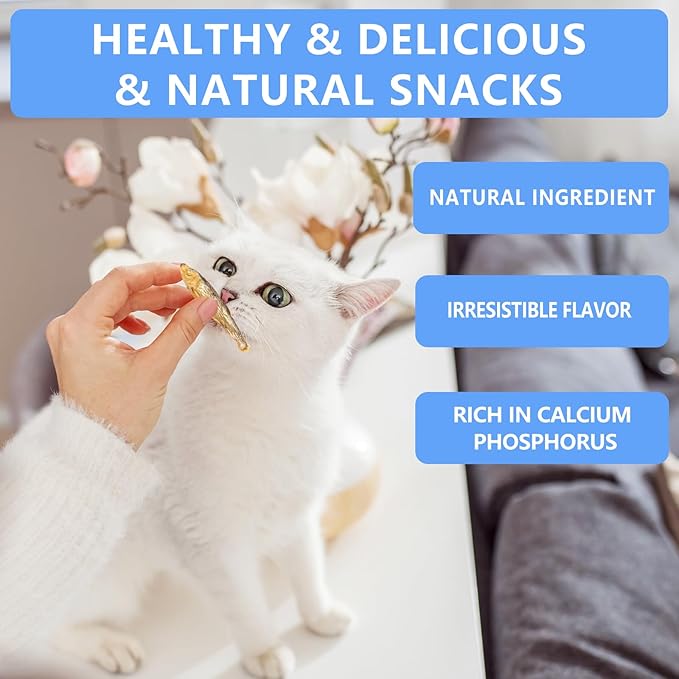 Herring Fish Dog Treats, Freeze Dried, Wild-Caught, Single Ingredient, High-Protein, Omega 3 & 6 for Skin & Coat, No Additives, Grain-Free Cat & Dog Treats (4.0 oz)