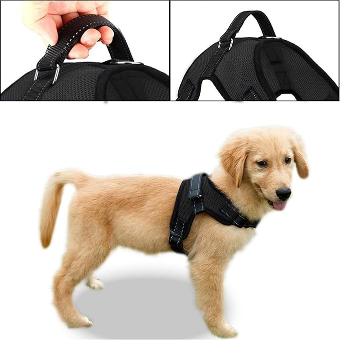 No Pull Reflective Adjustable Dog Harness with Handle- Comfortable Soft All Weather Mesh, Easy On Puppy Harness for Small Medium and Large Dogs (Black) XX-Small