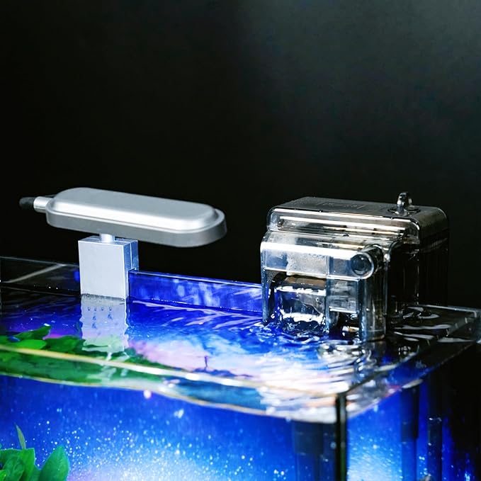 2.5 Gallon Glass Fish Tank with Filter LED Light Complete Betta Fish Tank Starter Kit for Small Aquarium Lovers, Rimless Freshwater Nano Tank with All Essentials Included