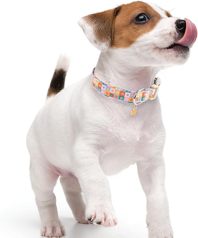 Faygarsle Floral Plaid Pattern Dog Collar, Spring Summer Design for Small Medium Large Dogs Multi-Color S