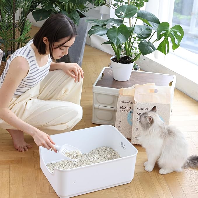 FUKUMARU Tofu Cat Litter, Super Ultra Absorbent, 18 LBS Clumping Cat Litter, Natural, Lightweight, Dust Free, Quick Clumping, Low Tracking, Odor Control (6lb x 3 Packs)