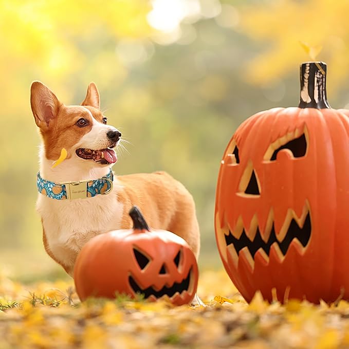Unique style paws Halloween Dog Collar Metal Buckle Green Pumpkin Puppy Collar Gift Durable Cute Collar for Small Medium Large Boys Girls Dogs