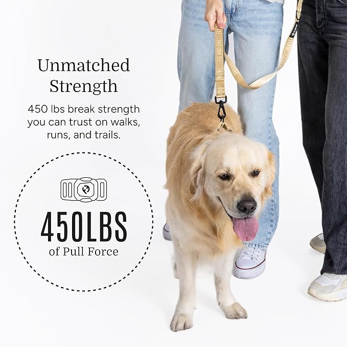 2025 New Edition, Fei & Eve MagEase Dog Collar - Patented Magnetic Buckles | Fur-Safe | Premium 210D Nylon | 450LB Escape-Proof | Adjustable Fit | Large (Champagne)
