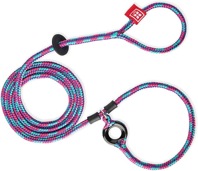 Harness Lead No Pull Dog Harness and Leash Set, Anti Pull Dog Harness for All Breeds and Sizes, One-Piece Cushioned Rope Design Safely Prevents Escaping and Pulling (Small/Medium, Reef)