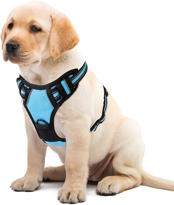 Blue No-Pull Dog Harness with 2 Leash Clips，Soft Padded Vest for Small Dog, Adjustable Reflective Dog Vest Easy to Put on and Take Off,(Neck: 13"~17", Chest: 17"~21",Blue Small)