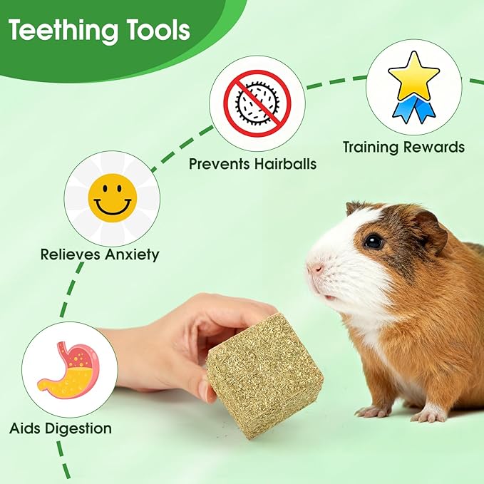 Abizoo Natural Rabbits Chew Toys Timothy Hay & Pine Wood Blocks for Guinea Pigs, Hamsters Small Animal Dental Care Digestion & Molar Health Vitamin Enriched Chewing Treats