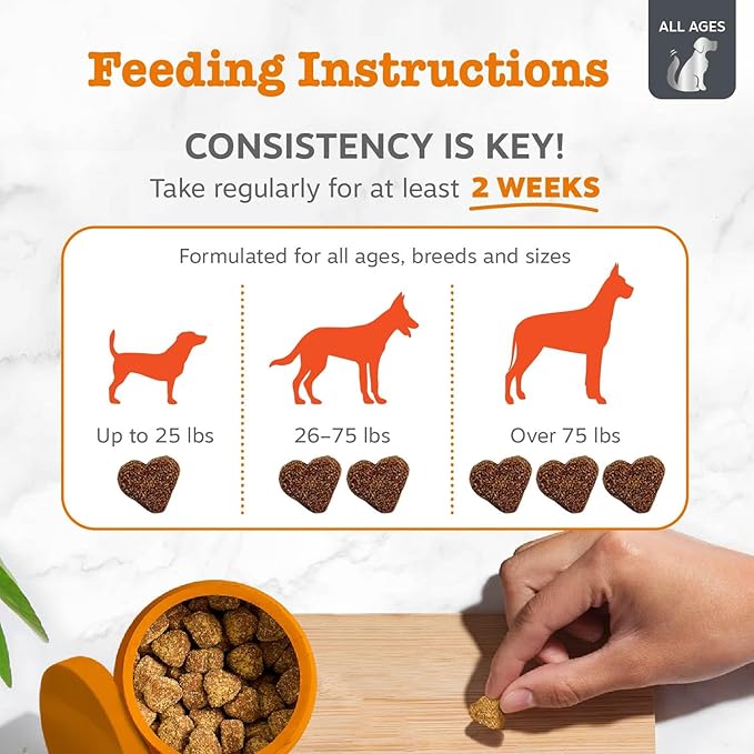 Zesty Paws Vet Strength Dog Allergy Relief Chews, Dog Probiotics for Itchy Skin and Ears, Smoked Cheese, 90ct