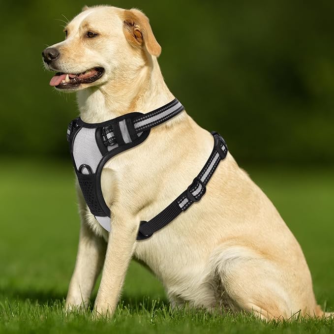 Gray No-Pull Dog Harness with 2 Leash Clips，Soft Padded Vest for Small Dog, Adjustable Reflective Dog Vest Easy to Put on and Take Off,(Neck: 13"~17", Chest: 17"~21",Gray Small)