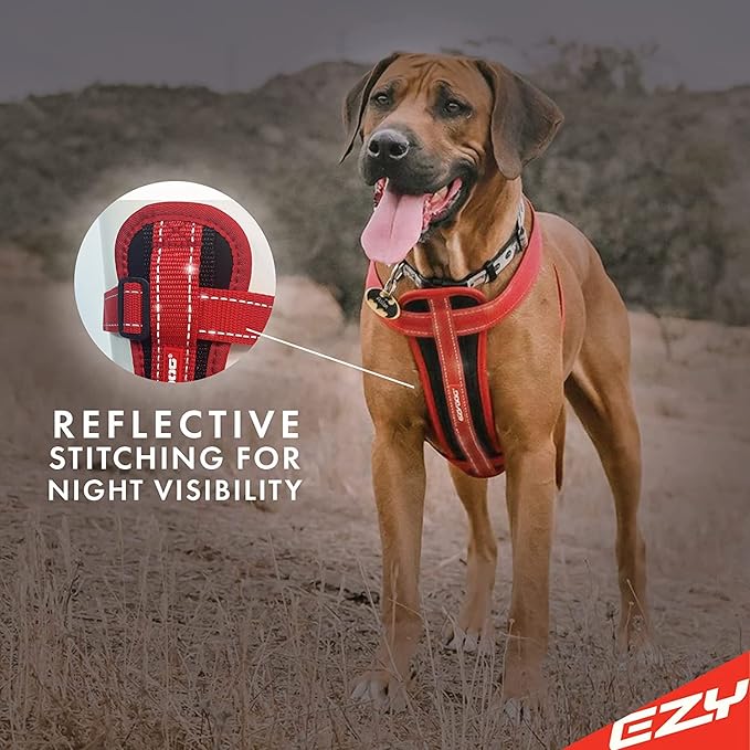 EzyDog Chest Plate No Pull Dog Harness – Escape Proof Harness with Reflective Stitching and Comfort Padding for Easy Walks, Training & Control - Car Restraint Included (Large, Purple)